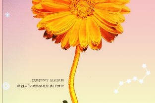 深市亮出十年发展“成绩单”:创业板集群化发展优势凸显先进制造等三大重点领